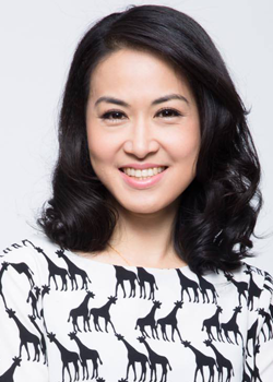 Chang Chang Mien (1990)