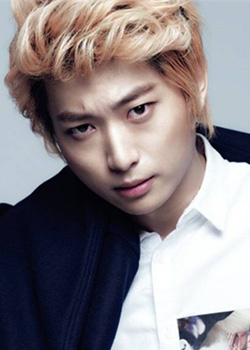 Chambers Chen (1994)