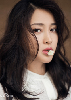 Gan Ting Ting (1986)