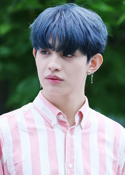 Kim Jin Wook (Jin Hoo - Up10tion) (1995)