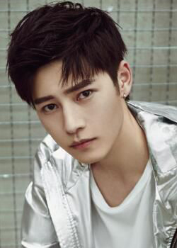 Liang Xue Feng (1995)