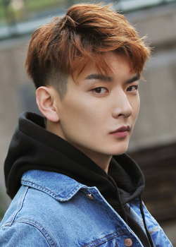 Yang Chuan Bei (1993)