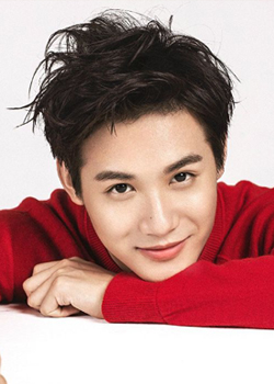 Zheng Ye Cheng (1993)