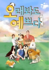 Love With Long Gaze (2019)