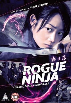 Rogue Ninja 